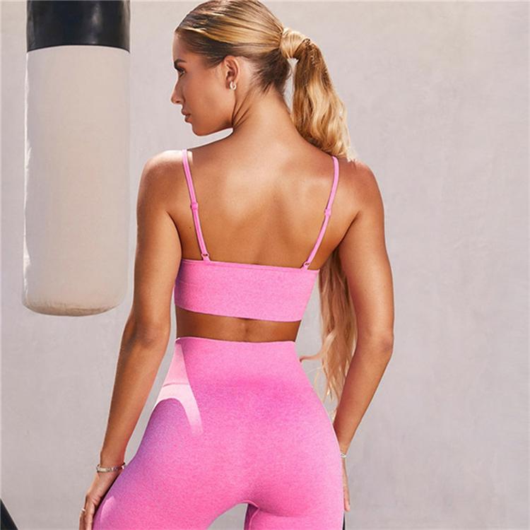 Women Sexy Seamless Shorts Sports Bra Fitness Suit Gathering Gym Bra Quick-drying Breathable Sports Shorts Women's Short Set