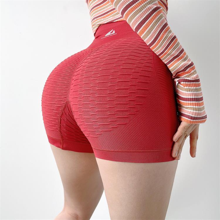 Slim Fit High Waist Gym Sport Shorts Hip Push Up Women Plain Soft Nylon Fitness Short Pants Running Shorts Workout Gym Shorts