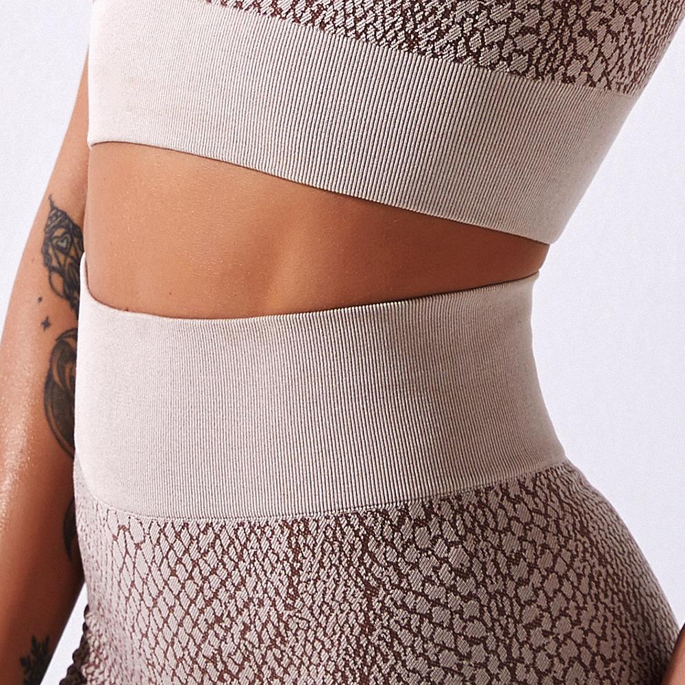 Snake Pattern Fitness Sports Set Women Seamless Bra   High Waist Gym Legging 2 Piece Sportwear Workout Tanks Sport Outfit Sets