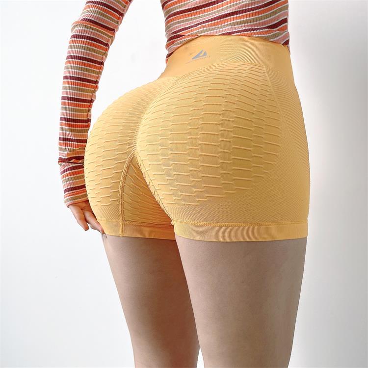 Slim Fit High Waist Gym Sport Shorts Hip Push Up Women Plain Soft Nylon Fitness Short Pants Running Shorts Workout Gym Shorts