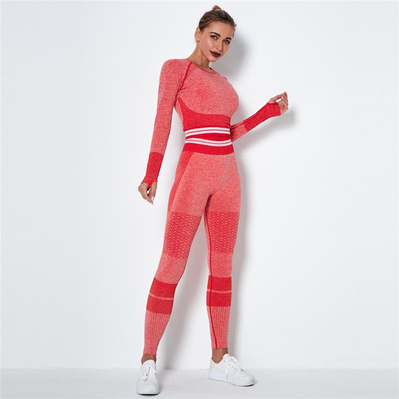 Seamless Sport Set Women Crop Top T-shirt   High Waist Legging Pants 2 Piece Fitness Suit Gym Workout Outfit Fitness Push Up Set