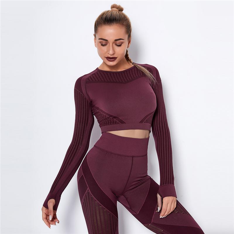 Women Seamless Crop Top Workout Flexible Four-way Knit Sports Tops Athletic Fitness Clothing Running Long Sleeve Sports Tops Gym