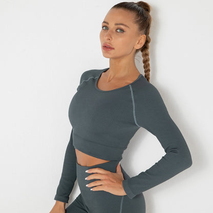 Women Shirts Seamless Quick Dry Gym Tights Shirts Long Sleeve Crop Tops Sports Fitness Wear Power Stretch Compress Gym Sportswea